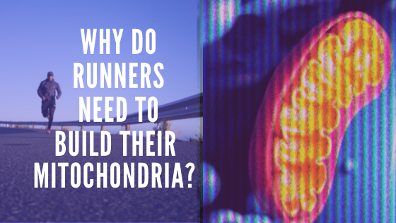 Ryan Fernando - Why do runners need to build their Mitochondria?